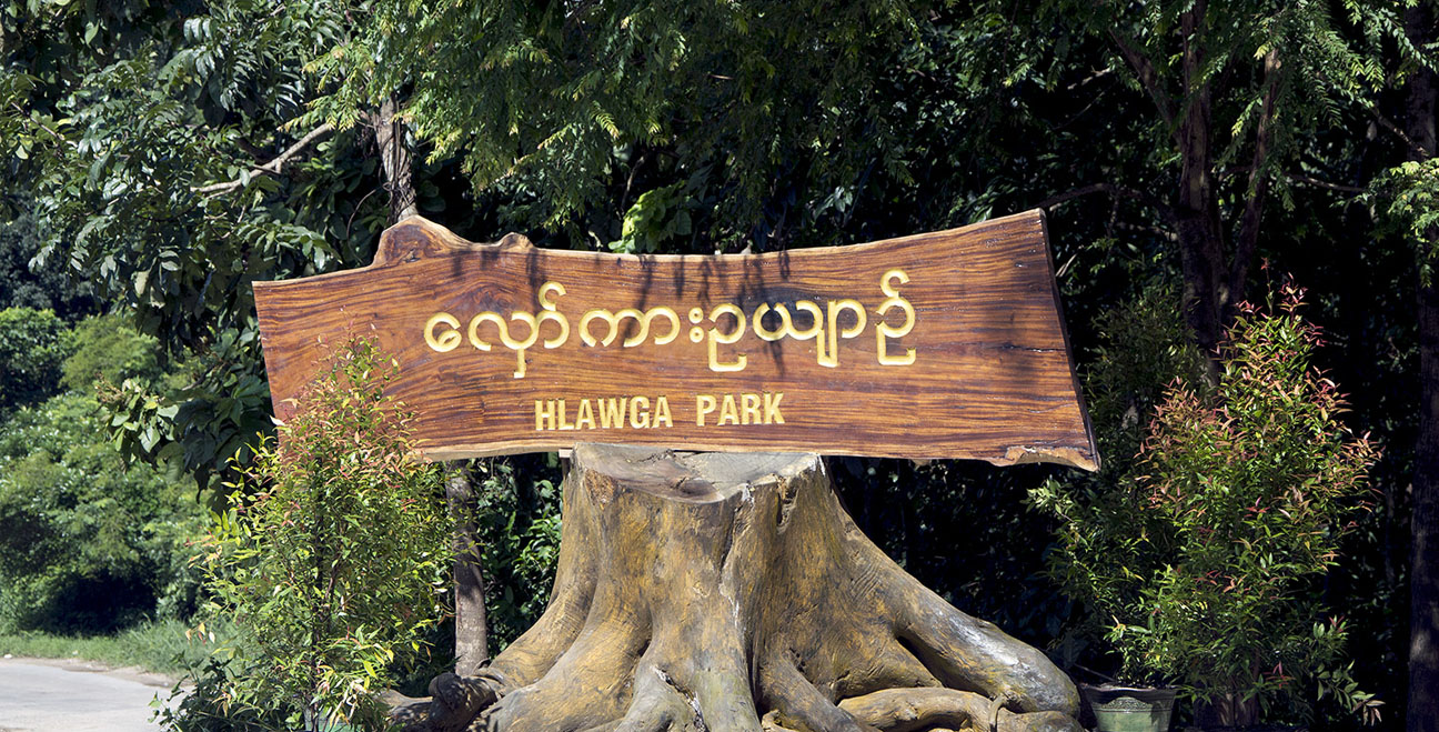 Safari Park