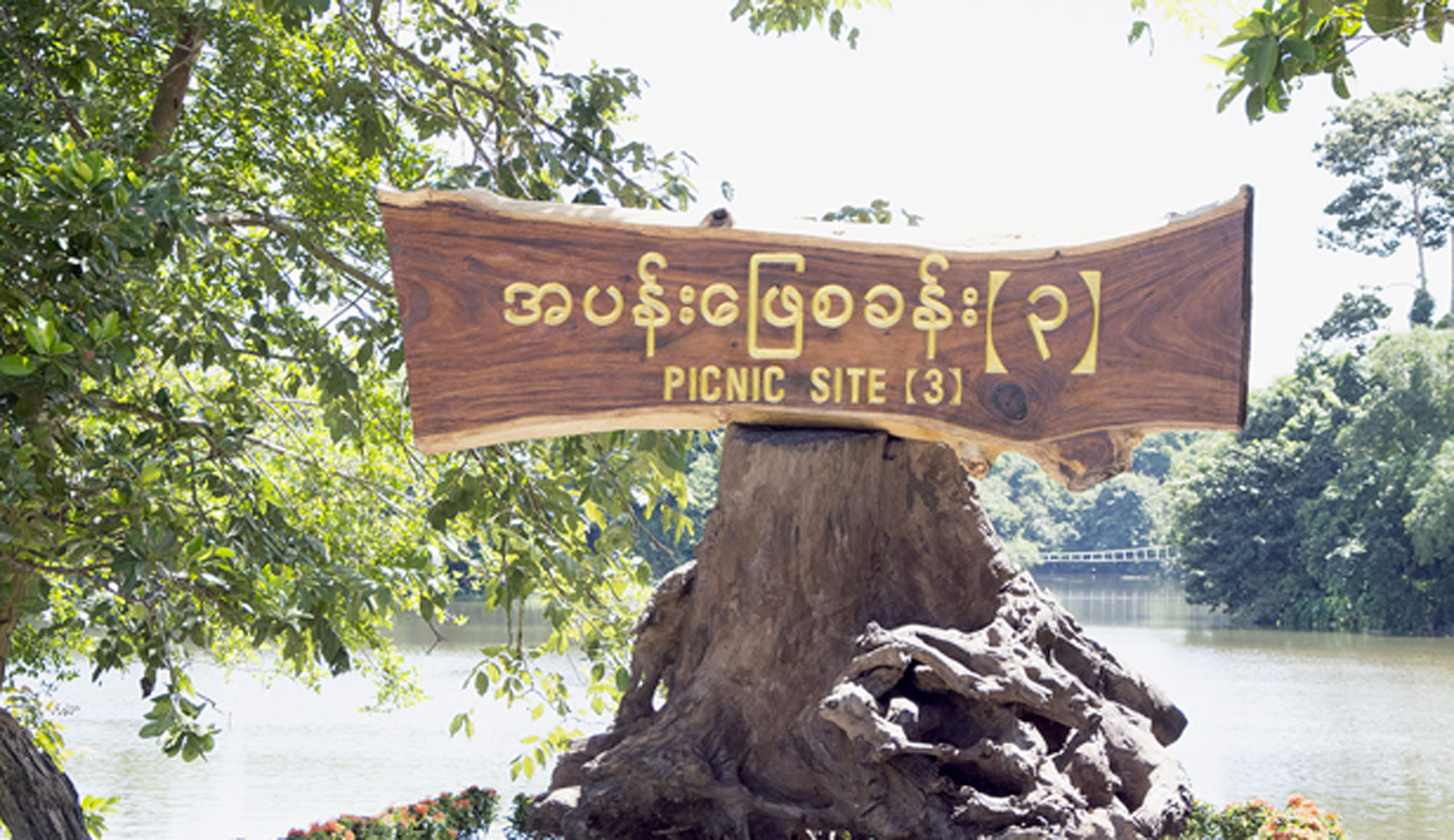 Picnic Site - 3