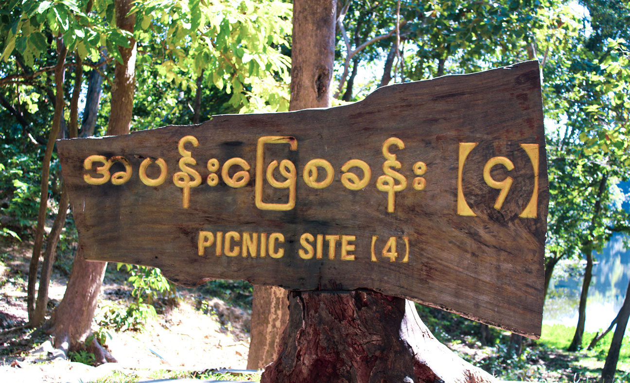 Picnic Site - 4