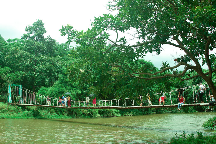 Suspension Bridge