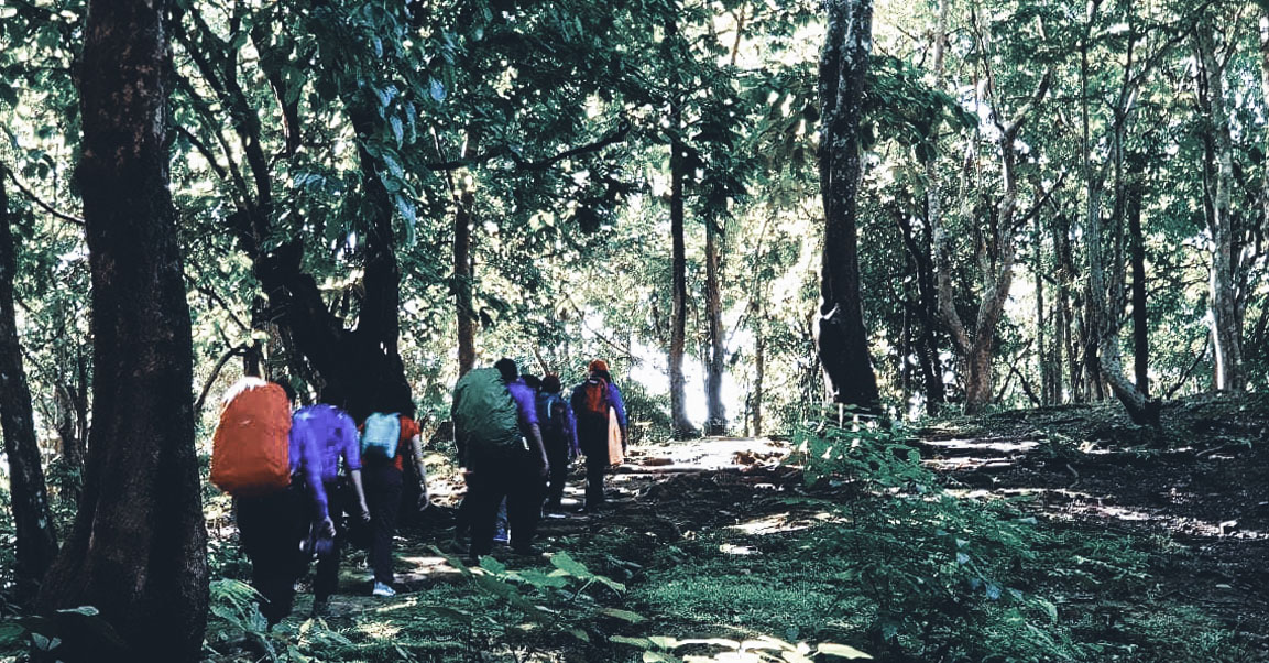 Trekking