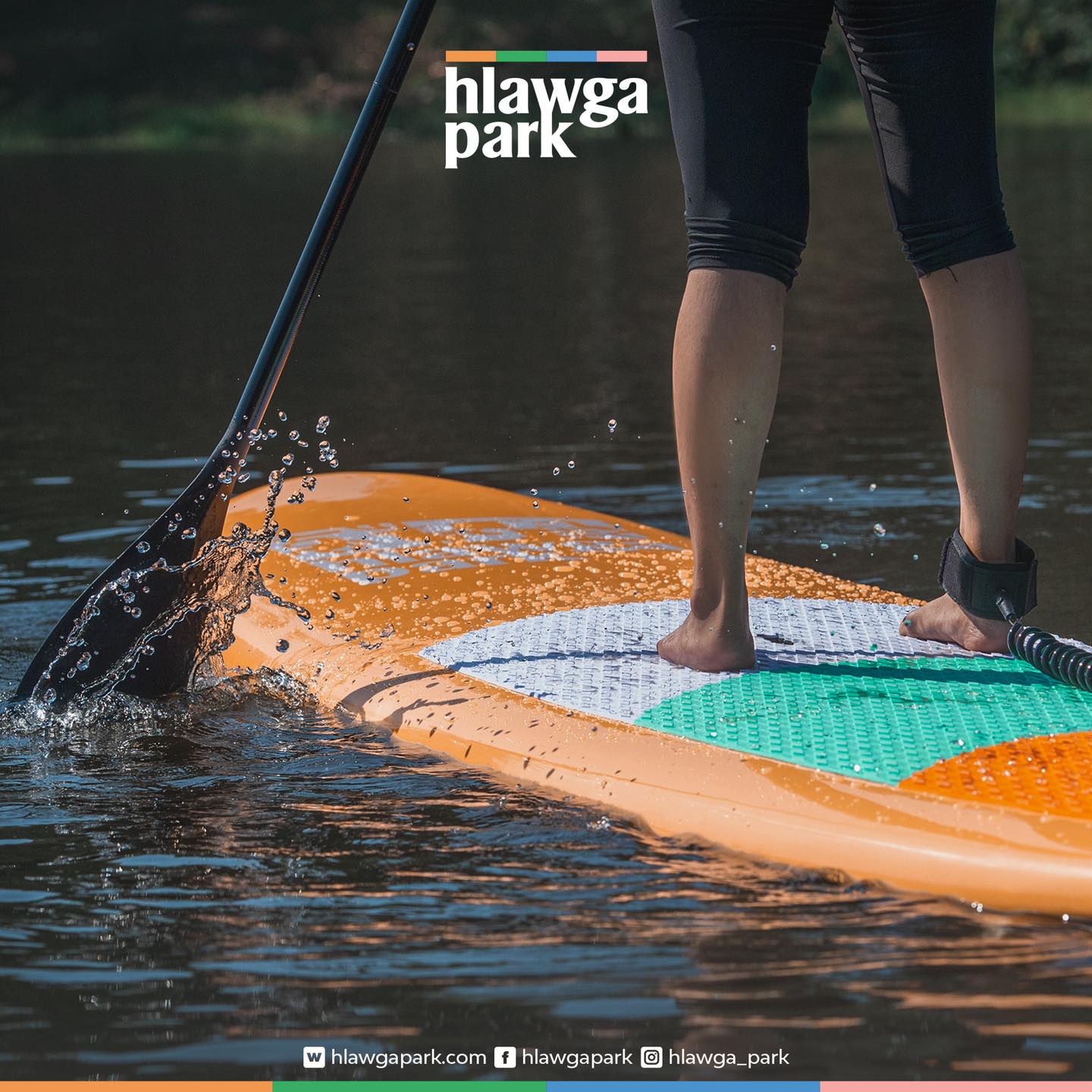 Stand Up Paddling