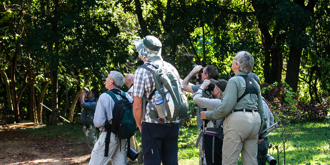 Bird Watching Tour