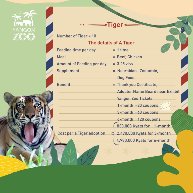Animal Adoption Program,